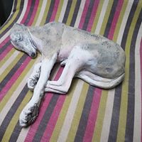 sleeping-long-limbed-hound