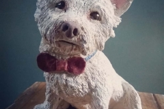 Boo West Highland Terrier