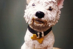Boo The Westie