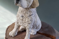Sky-labrador