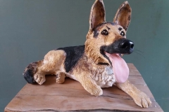 Blaze alsatian