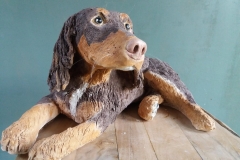 Rollo Spaniel