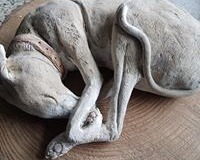 sleeping-hound