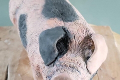 Wilboar