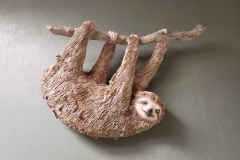 hanging-sloth