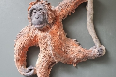 orangutan