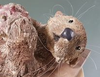 otter