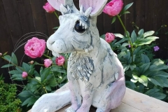 pink-hare