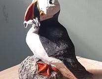 puffin