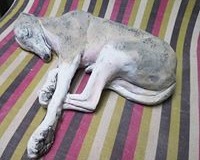 sleeping-long-limbed-hound