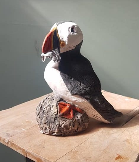 Farne Puffin on a rock
