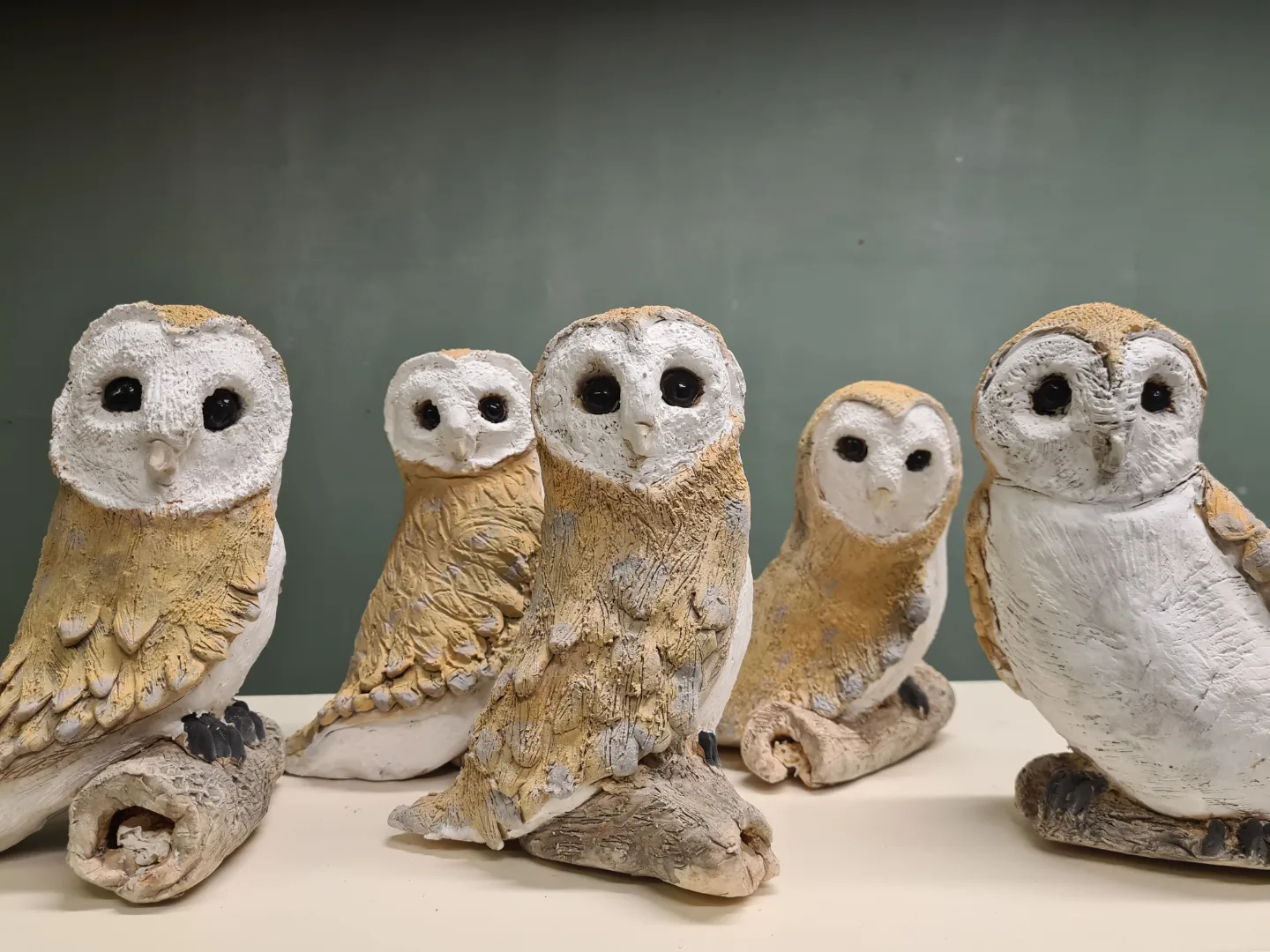 Barn Owls on Wed 18th June at my Studio in Bradford