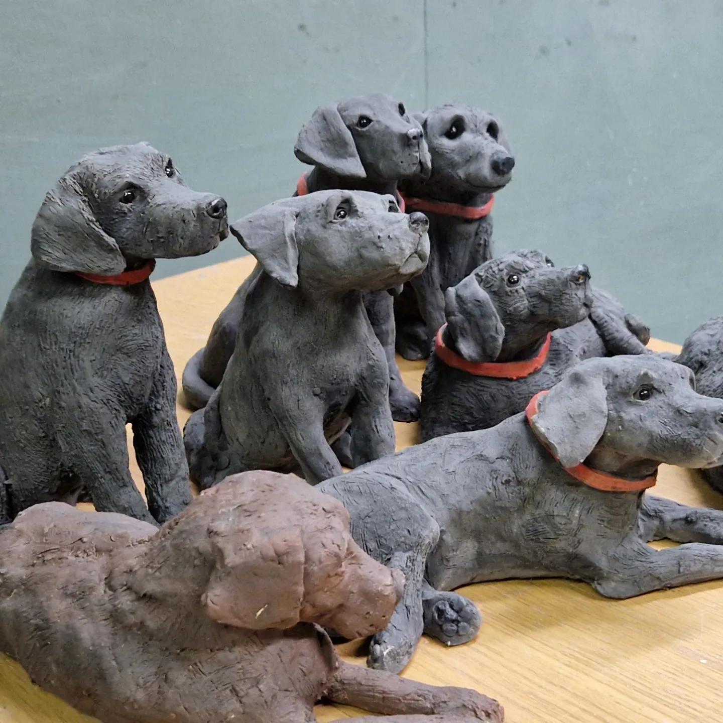 Labradors 6th June at Daisy Doodle in Northallerton inc home cooked meal