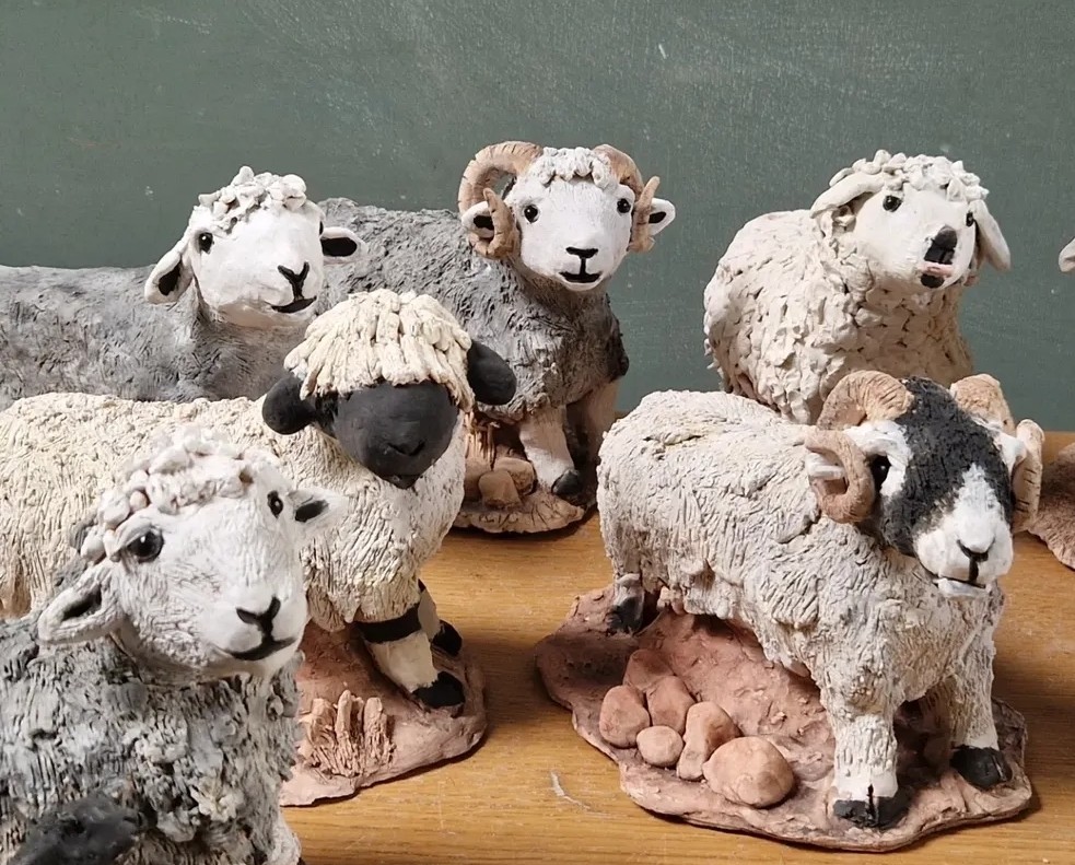 Sheep at Linton Village Hall near Grassington on Thursday 30th July 2026